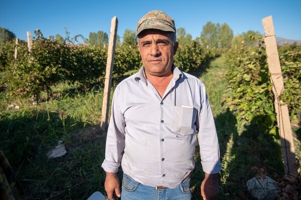 Как сбыть урожай и не разориться? В армянском Ахавнадзоре воюют с виноделами Как сбыть урожай и не разориться? В армянском Ахавнадзоре воюют с виноделами - Sputnik Армения