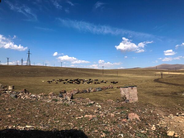 Холодный, но не бездушный: чем живут на крайнем севере Армении - Sputnik Армения