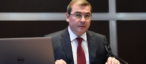 Пресс-конференция председателя Комитета государственных доходов Армении Давида Ананяна (16 октября 2019). Еревaн - Sputnik Արմենիա