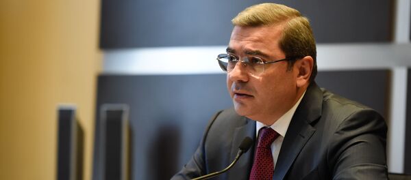 Пресс-конференция председателя Комитета государственных доходов Армении Давида Ананяна (16 октября 2019). Еревaн - Sputnik Армения