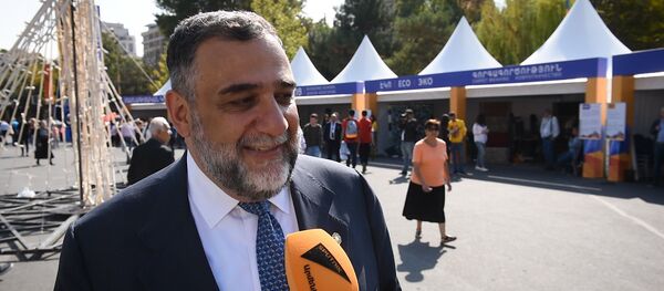 Гости столицы и известные армяне рассказали о том, что для них значит Ереван - Sputnik Армения