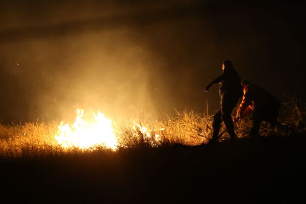Пожар вспыхнул близ парка Победы после празднования Дня города - фото - Sputnik Армения