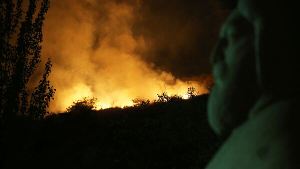 Пожар близ парка Победы - Sputnik Արմենիա