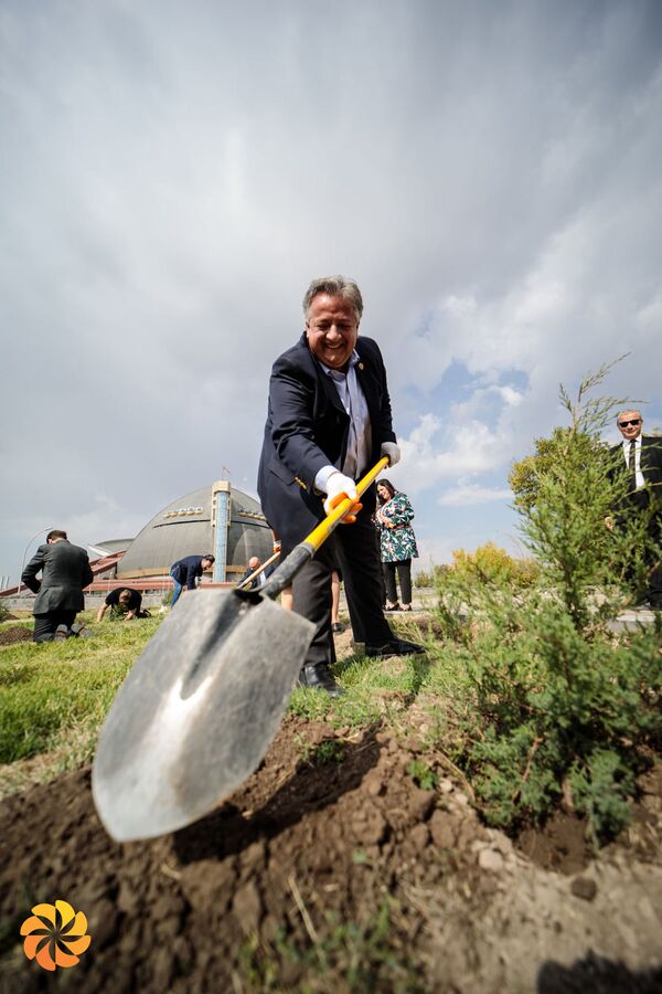 Участники форума Аврора в Ереване посадили деревья в память жертв Геноцида армян - Sputnik Армения