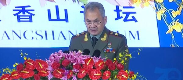 Шойгу рассказал о причинах выхода США из ДРСМД - Sputnik Армения