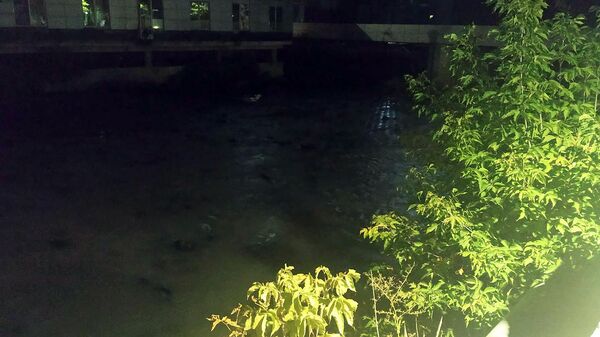 Загрязненная река Вохджи - Sputnik Արմենիա