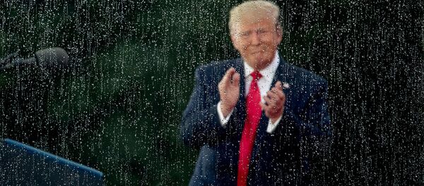 Президент США Дональд Трамп во время празднования Дня Независимости перед мемориалом Линкольна (4 июля 2019). Вашингтон Президент США Дональд Трамп во время празднования Дня Независимости перед мемориалом Линкольна (4 июля 2019). Вашингтон - Sputnik Արմենիա