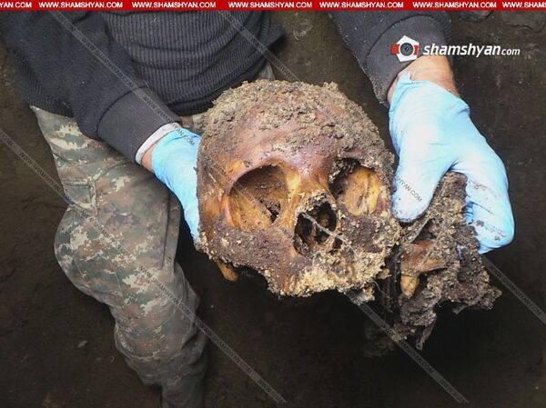 Череп и кости престарелой женщины: в Ереване раскрыто жестокое убийство 14-летней давности Череп и кости престарелой женщины: в Ереване раскрыто жестокое убийство 14-летней давности - Sputnik Армения