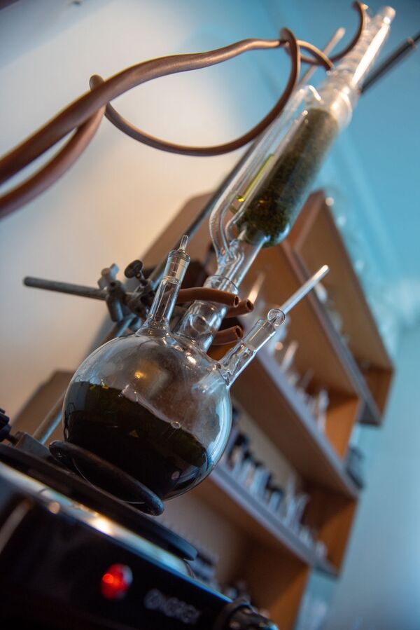 «Իսկ տանն ամեն ինչ այլ է». Ֆրանսիան «գրաված» հայ պարֆյումերի դժվարությունները հայրենիքում «Իսկ տանն ամեն ինչ այլ է». Ֆրանսիան «գրաված» հայ պարֆյումերի դժվարությունները հայրենիքում - Sputnik Արմենիա