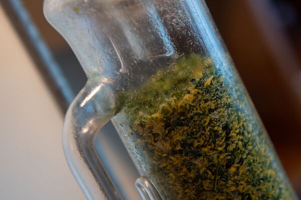 «Իսկ տանն ամեն ինչ այլ է». Ֆրանսիան «գրաված» հայ պարֆյումերի դժվարությունները հայրենիքում «Իսկ տանն ամեն ինչ այլ է». Ֆրանսիան «գրաված» հայ պարֆյումերի դժվարությունները հայրենիքում - Sputnik Արմենիա