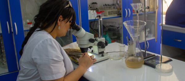 Республиканский ветеринарно-санитарный и фитосанитарный центр лабораторных услуг - Sputnik Արմենիա