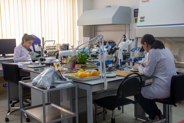 «Մալաքիտի» գաղտնիքը. հայկական ձուկը խոտանվել է ՌԴ–ում, իսկ Երևանում խնդիր չի ունեցել «Մալաքիտի» գաղտնիքը. հայկական ձուկը խոտանվել է ՌԴ–ում, իսկ Երևանում խնդիր չի ունեցել - Sputnik Արմենիա