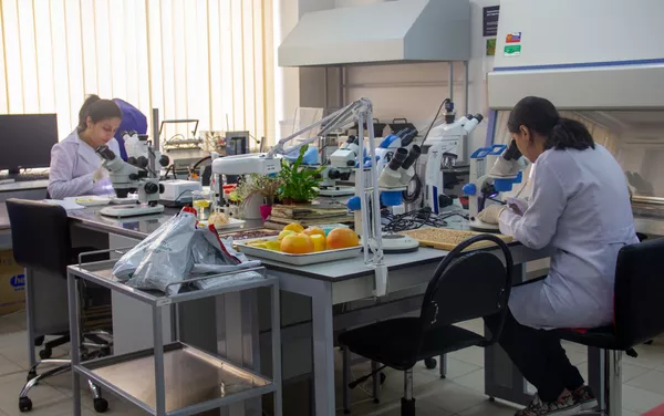 Республиканский ветеринарно-санитарный и фитосанитарный центр лабораторных услуг Республиканский ветеринарно-санитарный и фитосанитарный центр лабораторных услуг - Sputnik Армения