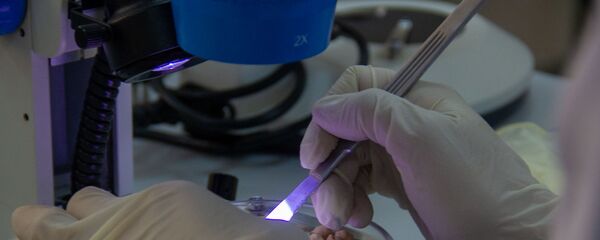 Республиканский ветеринарно-санитарный и фитосанитарный центр лабораторных услуг - Sputnik Արմենիա