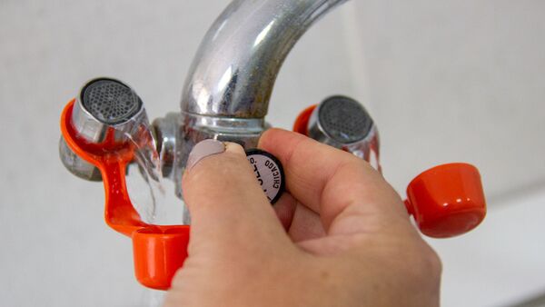 Республиканский ветеринарно-санитарный и фитосанитарный центр лабораторных услуг - Sputnik Армения