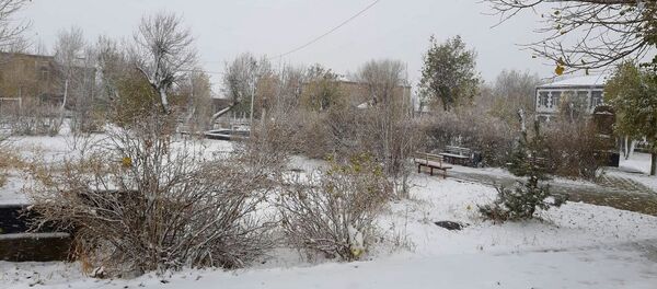 Первый снег - Sputnik Армения