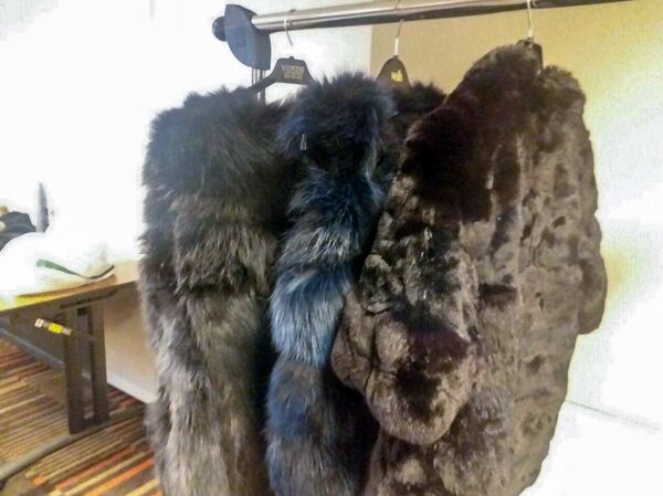 Շինշիլայի շուքը. ԵԱՏՄ–ն օգնել է, որ հայերը մուշտակ կարելով փող աշխատեն - Sputnik Արմենիա