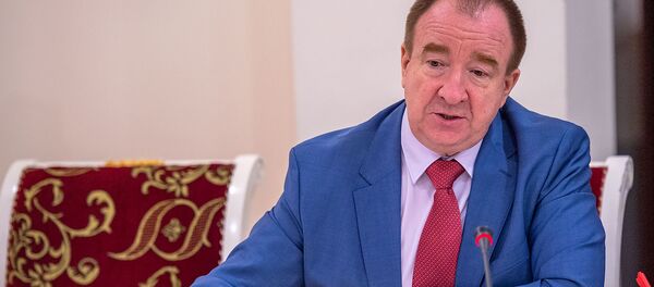 Игорь Панарин во время круглого стола Роль ОДКБ в обеспечении региональной безопасности (4 ноября 2019). Еревaн Игорь Панарин во время круглого стола Роль ОДКБ в обеспечении региональной безопасности (4 ноября 2019). Еревaн - Sputnik Армения