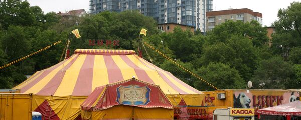 Цирк шапито Цирк шапито - Sputnik Армения