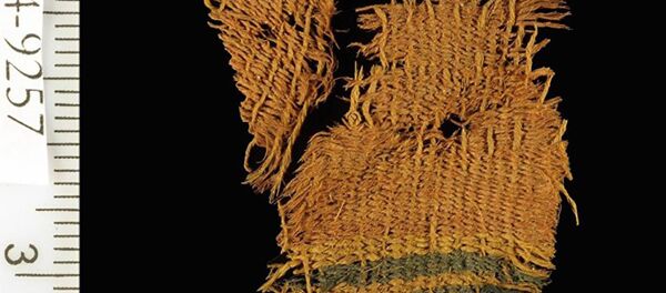 Археологи нашли ткани времен царей Соломона и Давида в Израиле Археологи нашли ткани времен царей Соломона и Давида в Израиле - Sputnik Армения