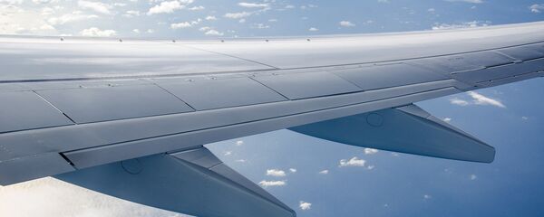 Вид из самолета Вид из самолета - Sputnik Армения