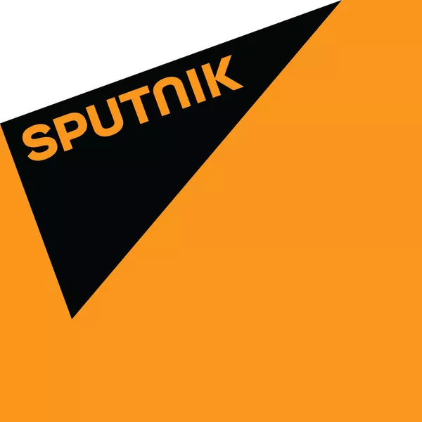 Офицеров-Бельский: о вступлении Швеции в НАТО и речи быть не может Офицеров-Бельский: о вступлении Швеции в НАТО и речи быть не может