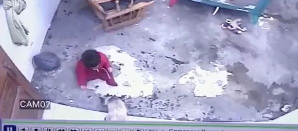 Кот преградил ребенку дорогу Кот преградил ребенку дорогу - Sputnik Արմենիա