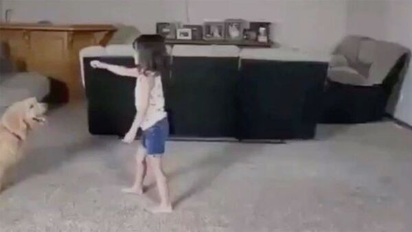 Девочка занимается акробатикой с собакой - Sputnik Армения