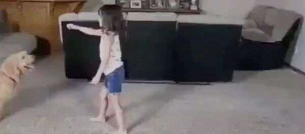 Девочка занимается акробатикой с собакой - Sputnik Արմենիա