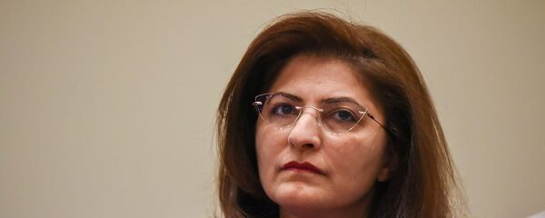 Адвокат Лусине Саакян на пресс-конференции Арсена Бабаяна (14 ноября 2019). Еревaн Адвокат Лусине Саакян на пресс-конференции Арсена Бабаяна (14 ноября 2019). Еревaн - Sputnik Արմենիա