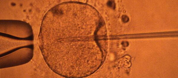 Стволовые клетки - Sputnik Արմենիա