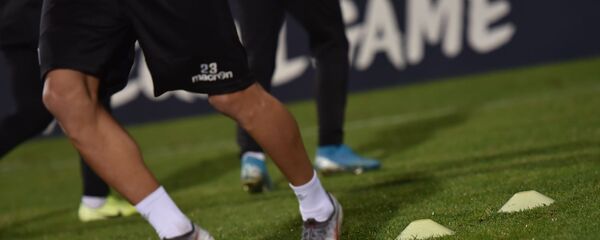 Предматчевая тренировка сборной Армении по футболу (14 ноября 2019). Еревaн - Sputnik Արմենիա