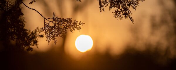 Закат Закат - Sputnik Армения