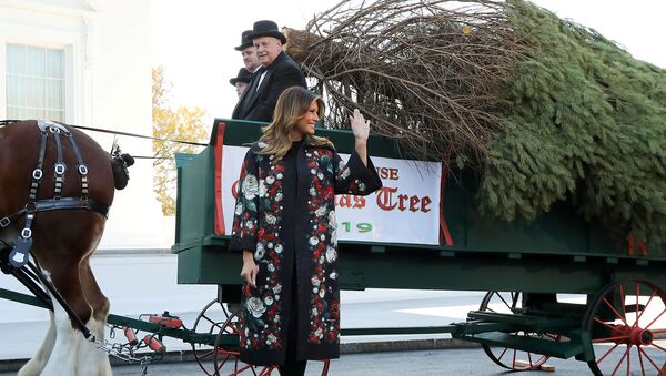 Первая леди США Мелания Трамп получает рождественскую елку Белого дома 2019 года от ферм долины Махантонго (25 ноября 2019). Вашингтон - Sputnik Армения