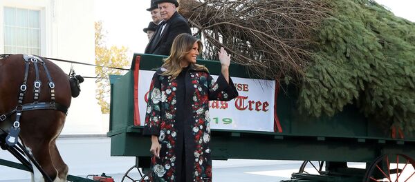Первая леди США Мелания Трамп получает рождественскую елку Белого дома 2019 года от ферм долины Махантонго (25 ноября 2019). Вашингтон - Sputnik Армения