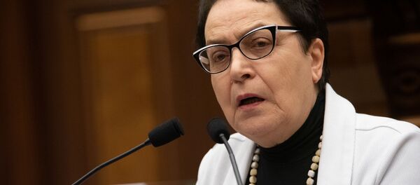 Лариса Алавердян на Международной конференции, посвященной 15-летию офиса омбудсмена в Армении (27 ноября 2019). Еревaн - Sputnik Արմենիա