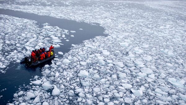 Зодиак с командой международных ученых направляется на станцию Бернардо О'Хиггинс в Антарктидe - Sputnik Արմենիա