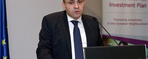 Замминистра экономики Варос Симонян  - Sputnik Արմենիա