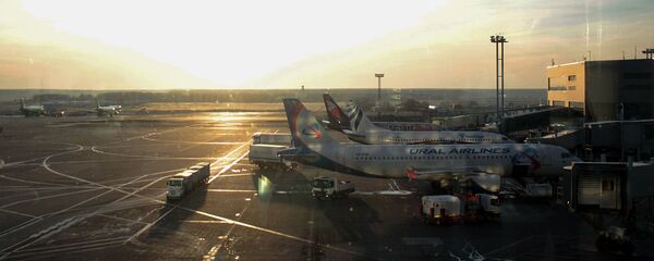 Самолеты в аэропорту Домодедово Самолеты в аэропорту Домодедово - Sputnik Армения