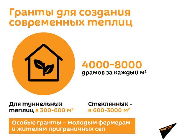 Армянская революция дойдет до коров и помидоров: фермерам надо знать планы на 2020 год - Sputnik Армения