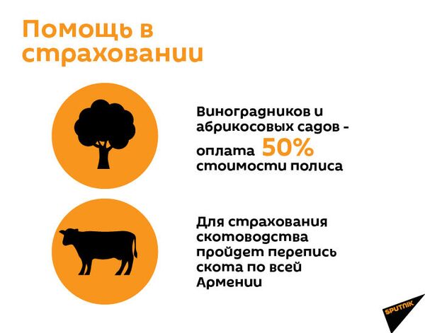 Армянская революция дойдет до коров и помидоров: фермерам надо знать планы на 2020 год - Sputnik Армения