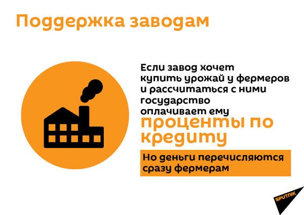 Армянская революция дойдет до коров и помидоров: фермерам надо знать планы на 2020 год - Sputnik Армения
