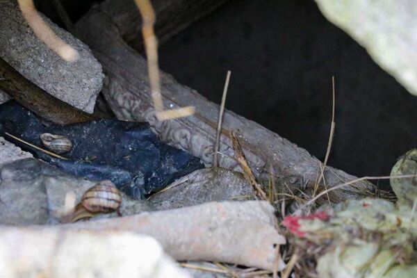 Стройка на костях: средневековое кладбище рядом с армянским храмом в Феодосии можно спасти - Sputnik Армения