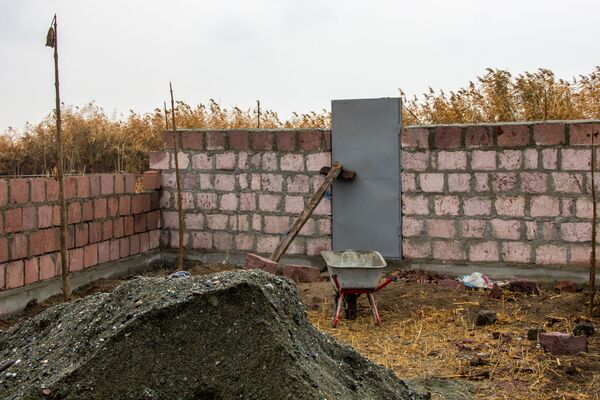 По следам собачьей атаки - что на самом деле произошло на страусиной ферме в Армении - Sputnik Армения