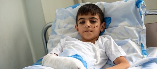 Гаруш Тарвердян - Sputnik Армения