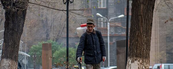 Сотрудник комунальной службы городской администрации убирает опавшие листья в Сквере Хачкаров (9 декабря 2019). Еревaн Сотрудник комунальной службы городской администрации убирает опавшие листья в Сквере Хачкаров (9 декабря 2019). Еревaн - Sputnik Армения