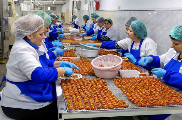 Сотрудницы шоколадной фабрики в Армении обрабатывают сухофрукты для начинок шоколадных конфет. - Sputnik Армения