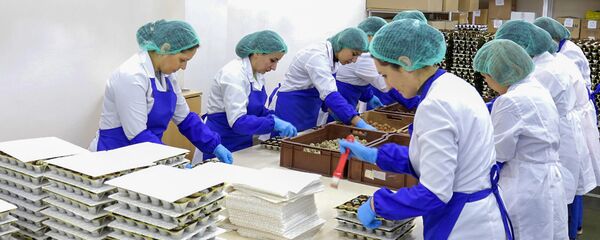 Сотрудницы шоколадной фабрики во время работы - Sputnik Արմենիա