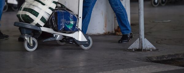 Пассажир с тележой для багажа в аэропорту Звартноц - Sputnik Армения