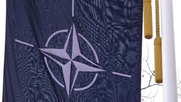 Развал НАТО: сможет ли альянс сохранить единство - Sputnik Армения
